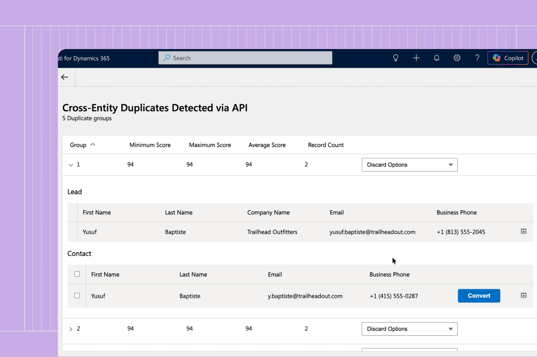 Plauti in Dynamics 365 showing cross-entity duplicates found via API, with a matched Lead and Contact side by side and a Convert button.